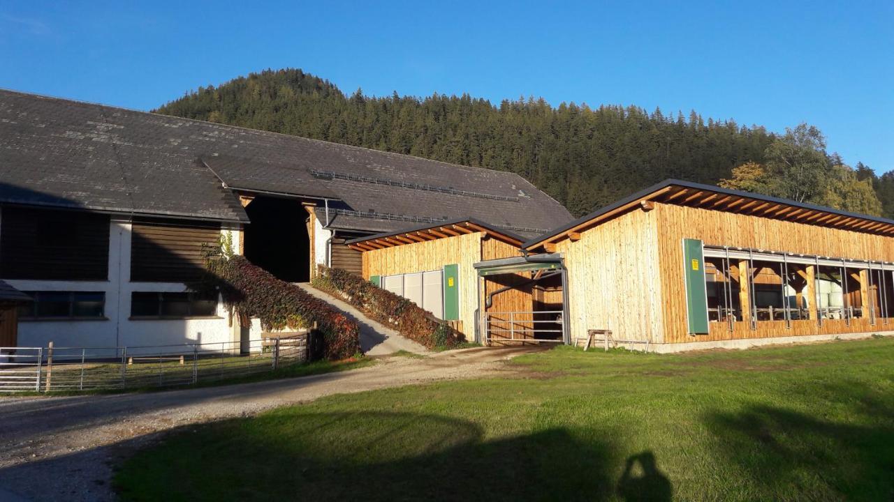 Zweimaederlhaus Apartment Bad Mitterndorf Exterior photo
